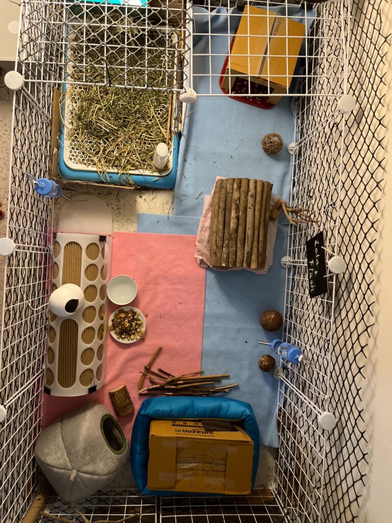 Tale of Tails pet parent stories