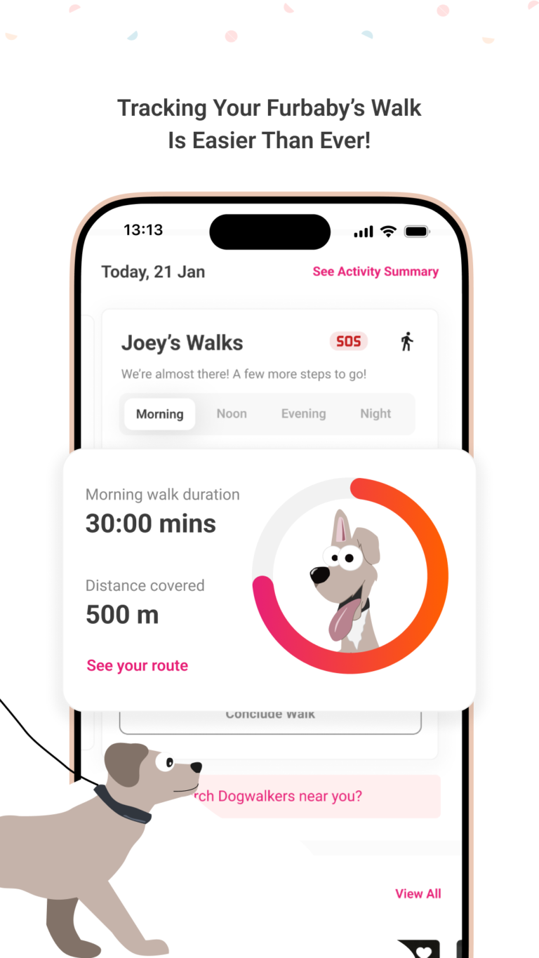 Pet walk activity tracker