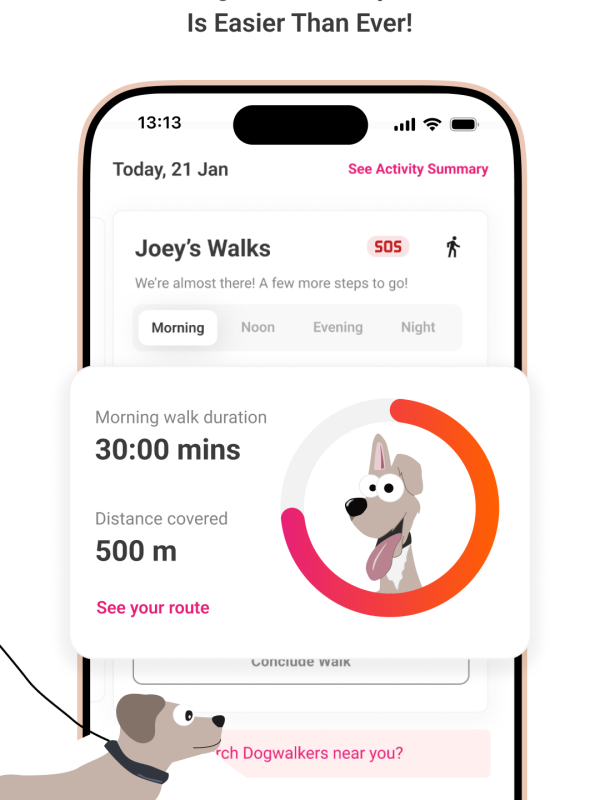Pet walk activity tracker
