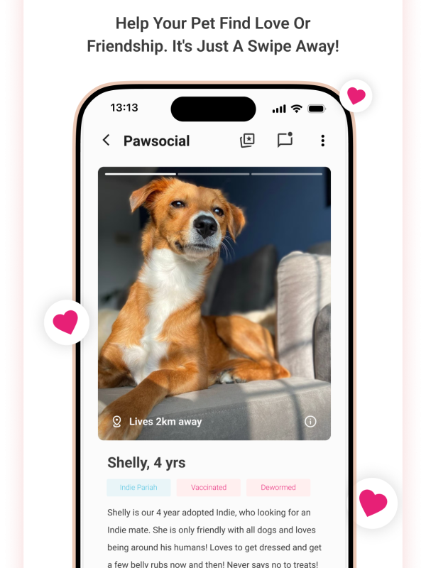 Socialise with other pet parents