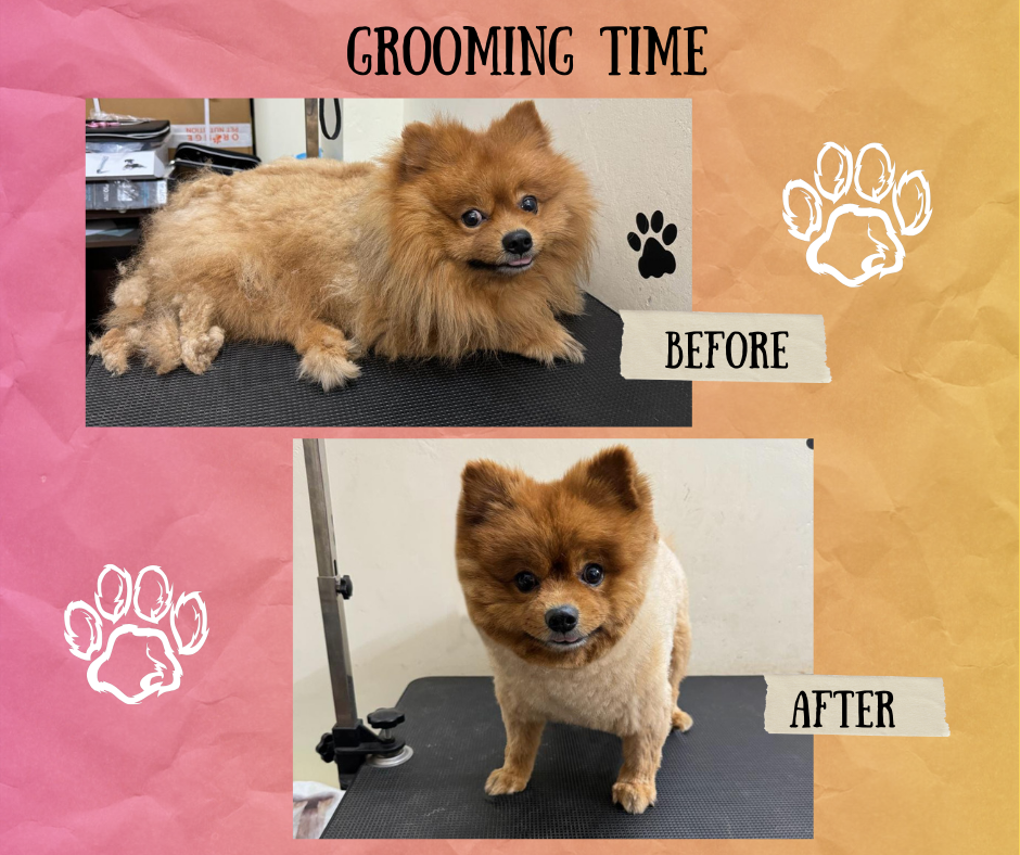 Back to school Before and After Progress Facebook Post