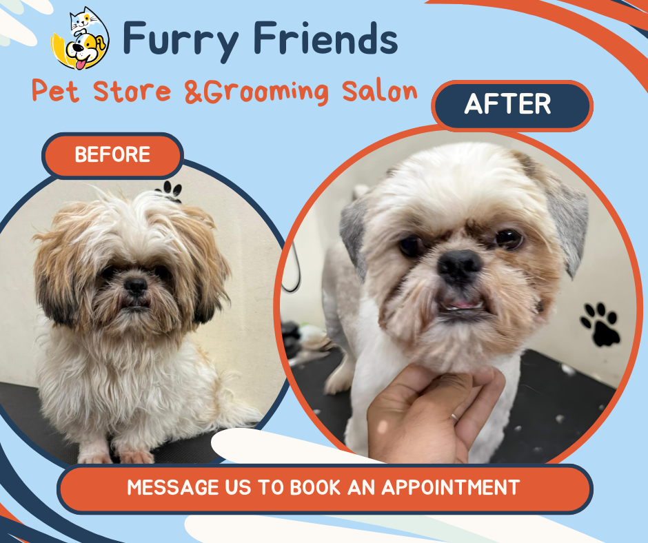 Orange Creative Before and After Photos Pet Salon Facebook Post