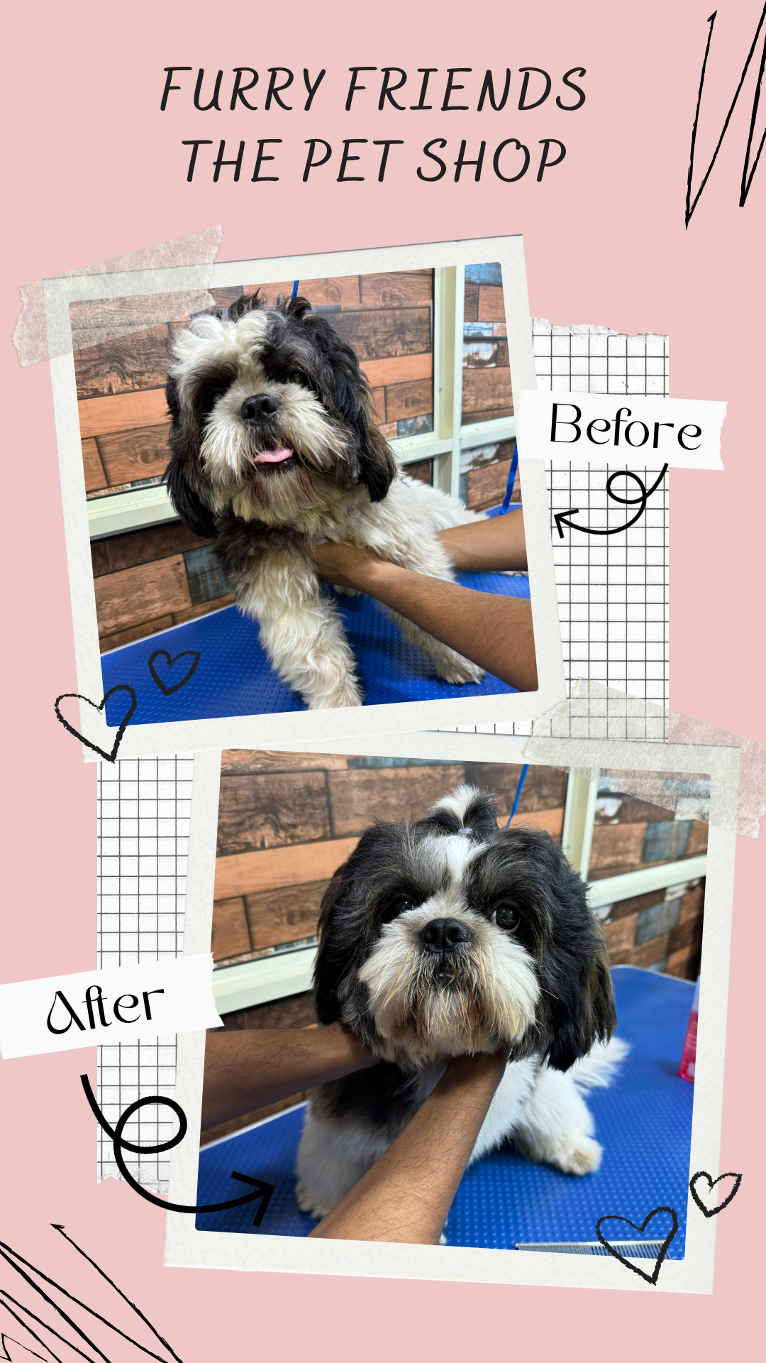 Powder Pink Scrapbook Before and After Eyelash Extension Service Mobile Video (1)